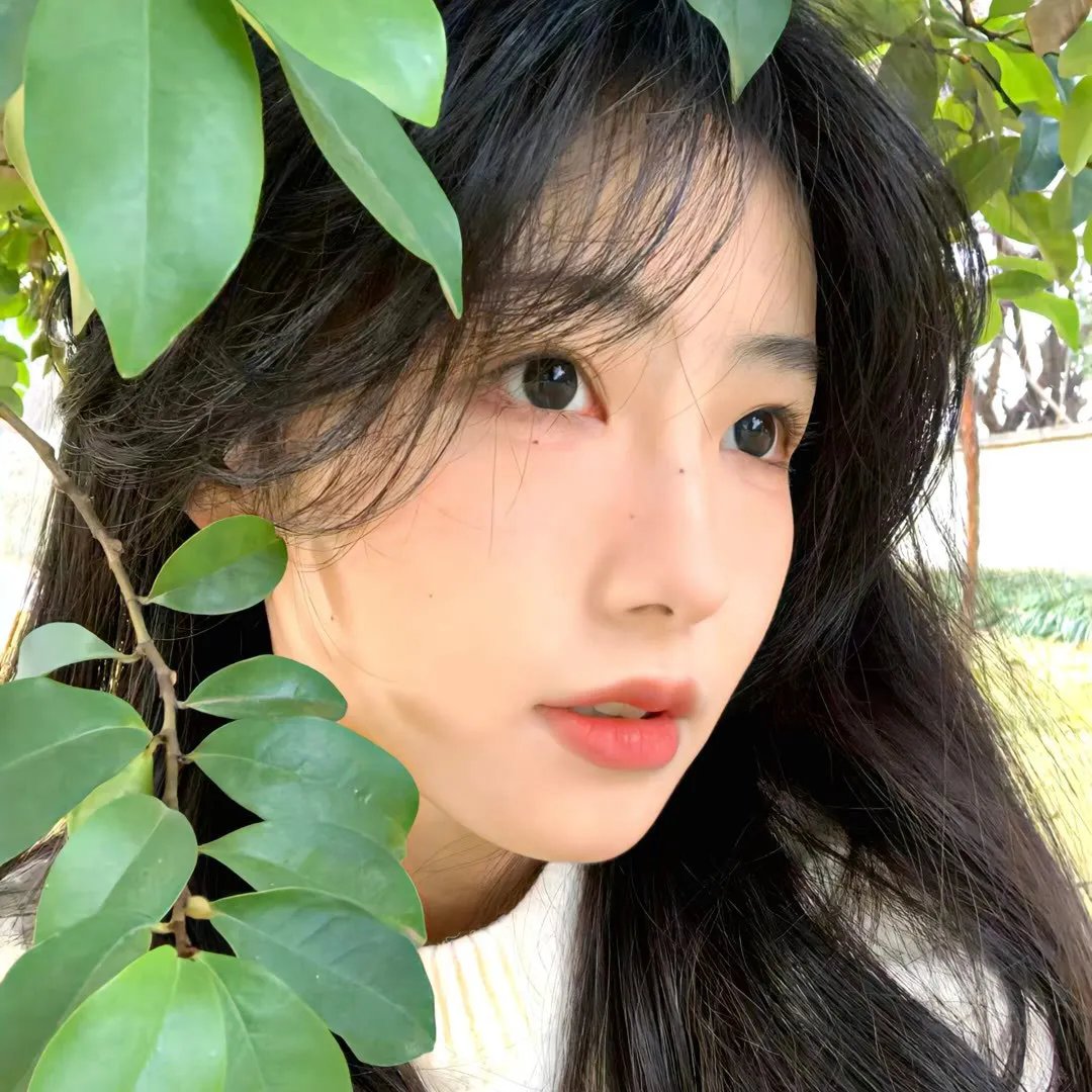 天眼行动
